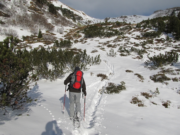 IMG_4367.JPG - Mühsam geht es weiter. Nachdem an den Hochrettelstein heute zeitmäßig gar nicht mehr zu denken ist, (dafür habe ich eine neue Jacke in Haus/Ennstal bekommen), der Aufstieg auf den Grat sowieso eine Schinderei ohne Zeit werden wird...