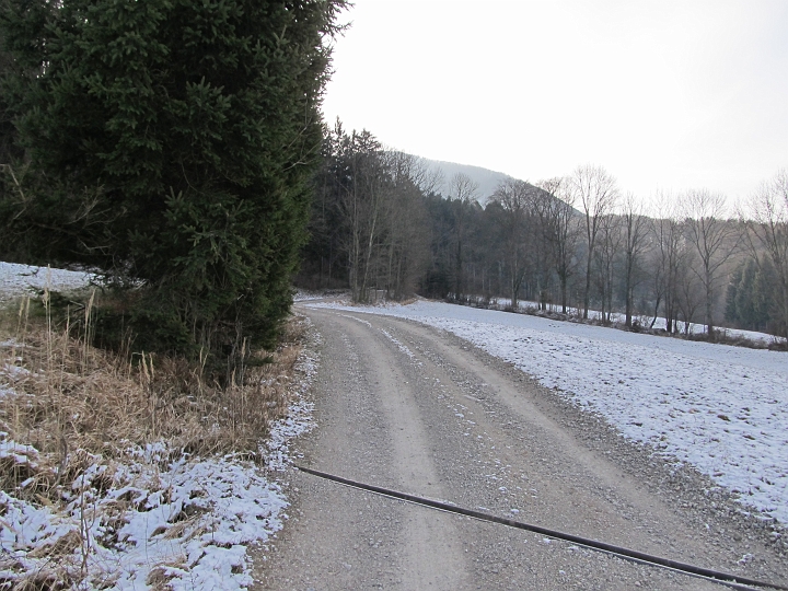 IMG_4445.JPG - Zunächst verläuft der Weg ein Stück Straße, dann eine Forststraße entlang.