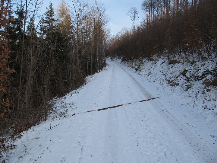 IMG_4451.JPG - Obwohl bald eine durchgehende Schneedecke vorhanden ist, sind Schneeschuhe nicht nötig.