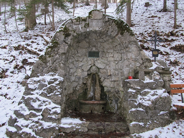 IMG_4459.JPG - Am Wildenauer Brunnen