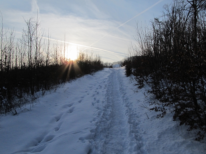 IMG_4478.JPG - Der Weg ist auch hier gut ausgetreten. Schneeschuhe sind bis oben nicht notwendig.