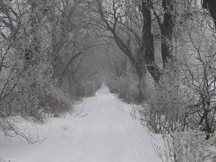 IMG_0154.JPG - Viel Schnee haben wir heute.