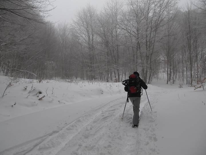 IMG_0162.JPG - Irgendwann legen wir dann die Schneeschuhe wieder ab. Mit den Schuhen in der Spur gehen ist einfacher.