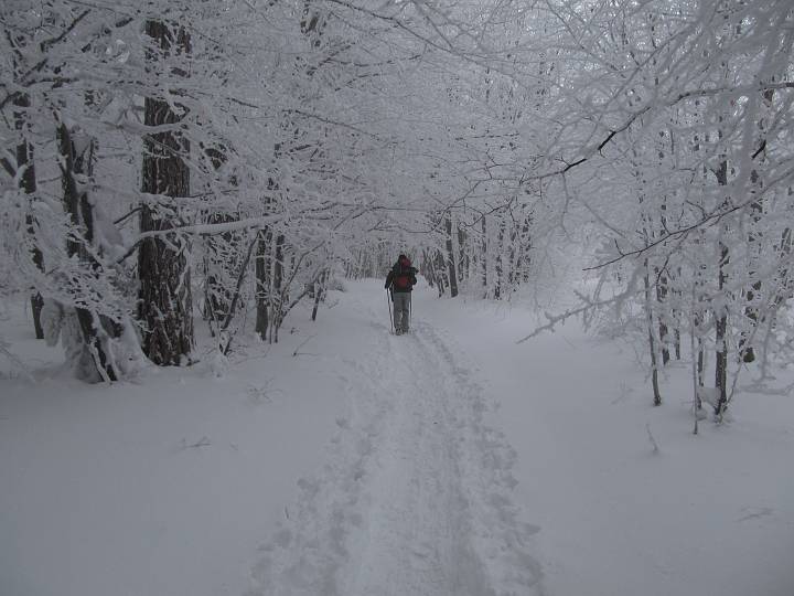 IMG_0175.JPG - Viel Schnee liegt noch auf den Bäumen.