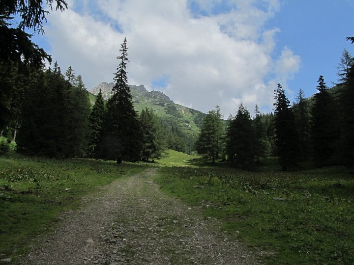 IMG_1526.JPG - Wieder bei der schönen Wiese vorbei...