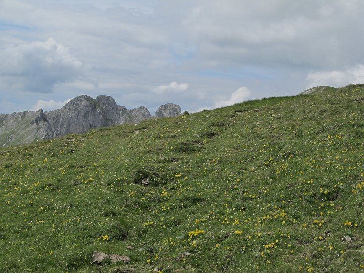 IMG_1555.JPG - Leichte Steigspuren führen ein Stück auf das..