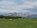 IMG_1558