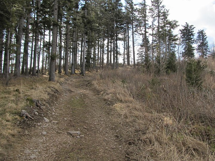 IMG_0008.JPG - Der Genußteil der Wanderung beginnt. Recht flach gehts dahin.